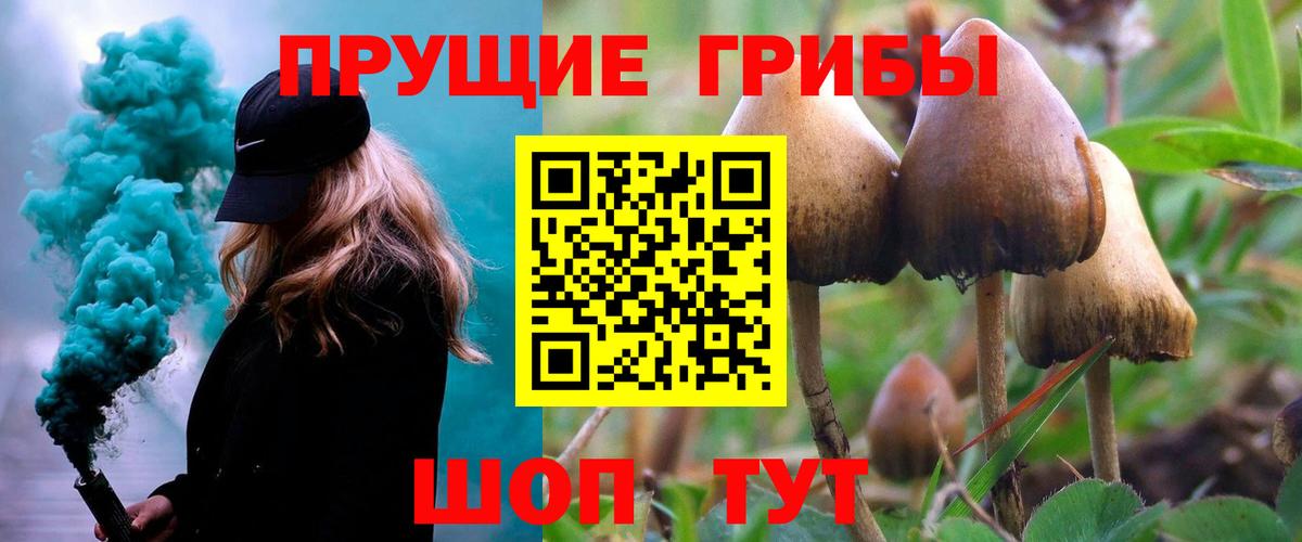 Сызрань  купить наркоту  Вход с VPN  Галлюциногенные грибы Cubensis 